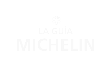 Home 13 guia michelin 2025